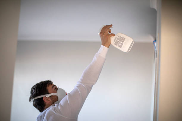 Best Mold Removal Company Near Me  in Gold Canyon, AZ