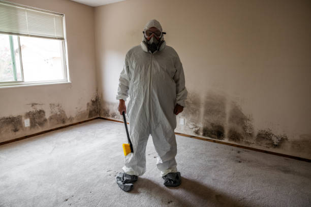 Crawl Space Mold Removal in Gold Canyon, AZ